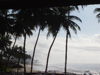 Morning Ocean View